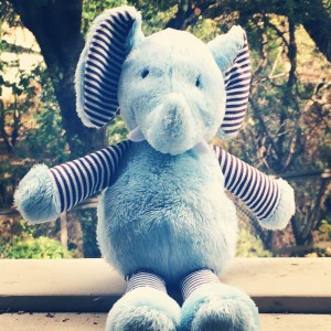 Sacha's Elephant (I think every baby boy in the US has this elephant, it's from Target. My Sach-squash was no exception.)